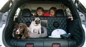 Nissan apresenta SUV especial (e incrível) para o passeio com cachorros